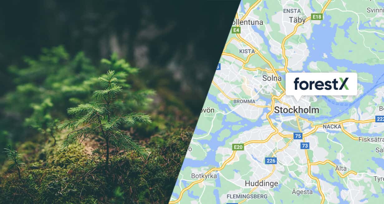 ForestX Stockholm
